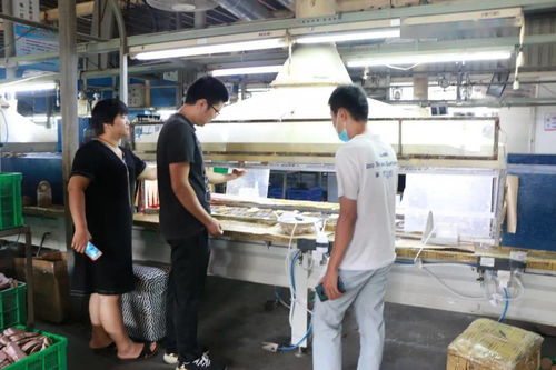 規范提升鞋業環保治理 我市強化企業幫扶指導服務